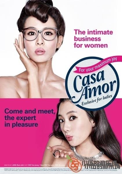 韩国19+《工作女郎》未删减 成人用品的女性励志片